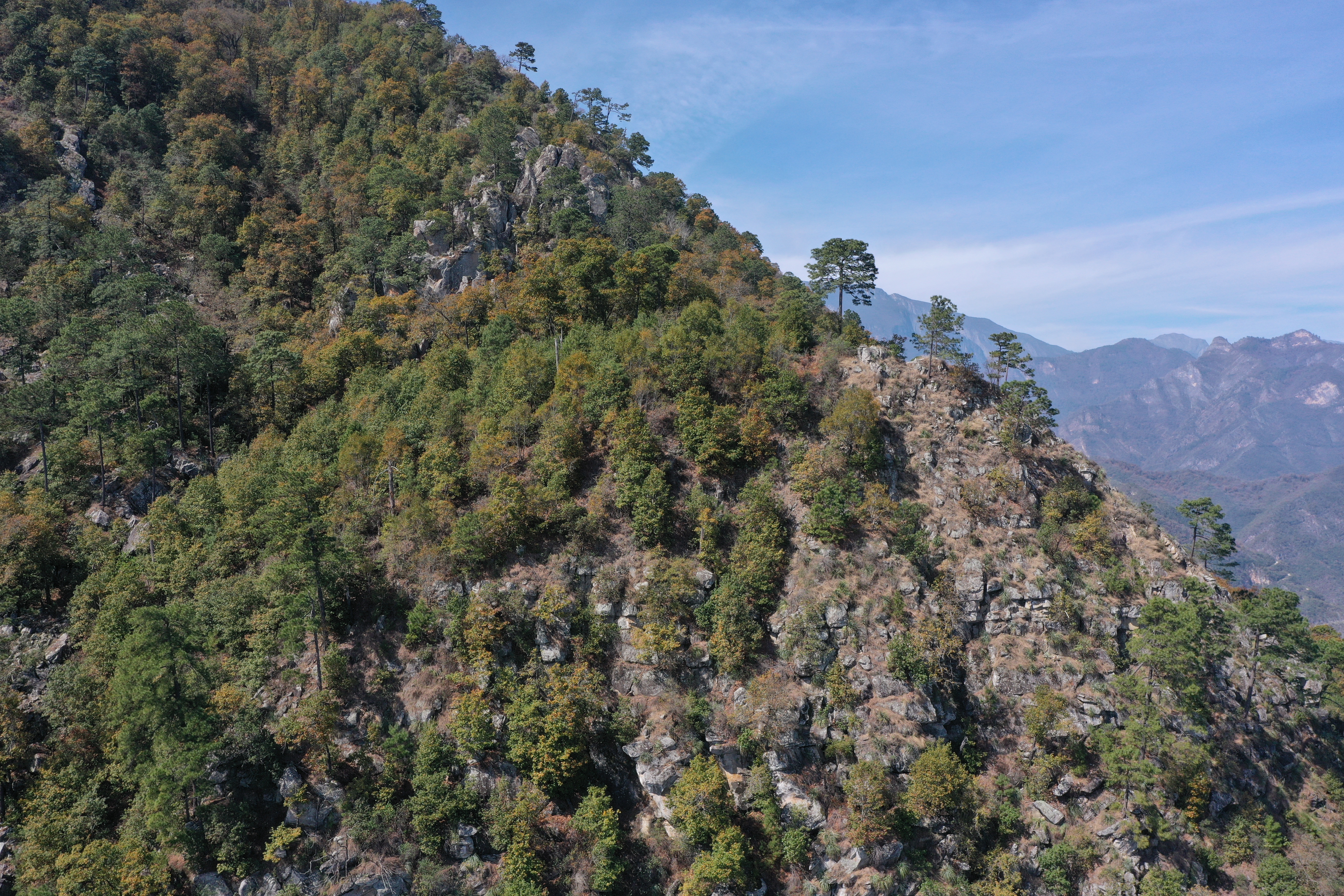 Bosque Monte Azul
